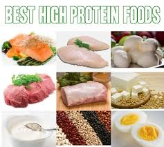 Protein